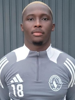 Avatar Bild für Sudi Jules Aboubacar