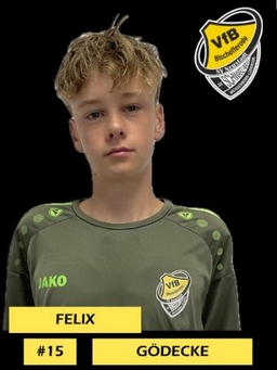 Avatar Bild für Felix Gödecke