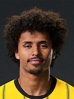 Avatar Bild für Karim David Adeyemi