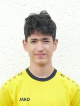 Avatar Bild für Diego Andres Pena Gonzalez