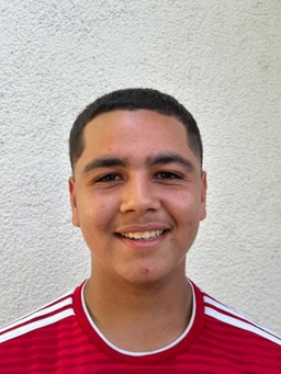 Avatar Bild für Ali Al Henesch