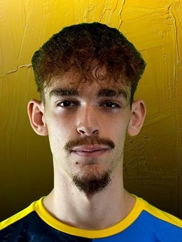 Avatar Bild für Tyler Ihrke