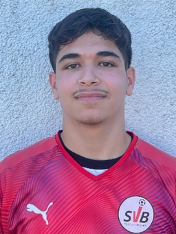 Avatar Bild für Mahmoud Al Hawi