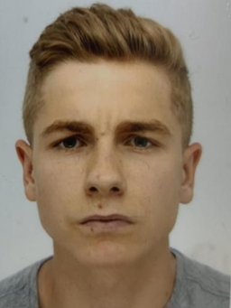 Avatar Bild für Lovis Steinpilz