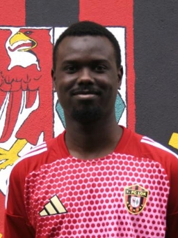 Avatar Bild für Amadou Sall