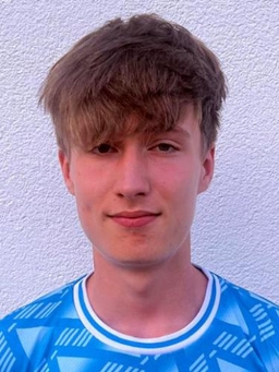 Avatar Bild für Luis Detzel