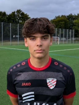 Avatar Bild für Niklas Ingolf Liedtke