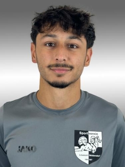 Avatar Bild für Taylan Sirin