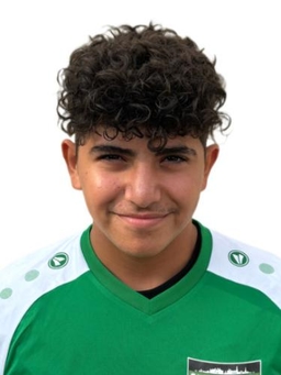 Avatar Bild für Mohamad Sharaf