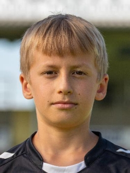 Avatar Bild für Hugo Gluth