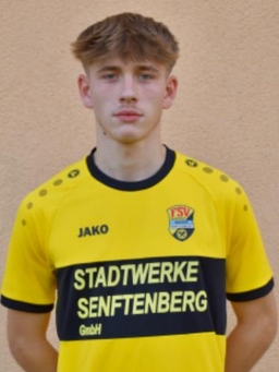 Avatar Bild für Max Sieber