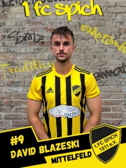 Avatar Bild für David Blazeski