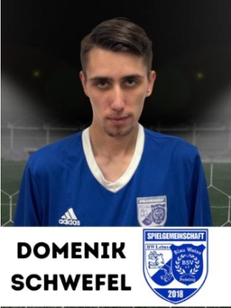 Avatar Bild für Domenik Schwefel