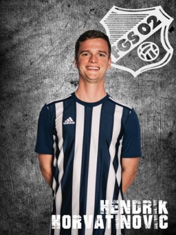Avatar Bild für Hendrik Horvatinovic