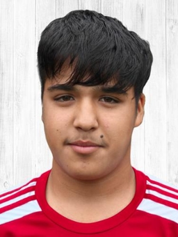 Avatar Bild für Hassibulah Fazeli