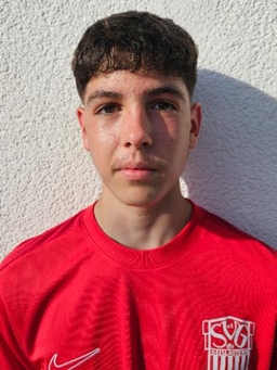 Avatar Bild für Leo Colanesi