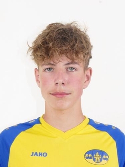 Avatar Bild für Niklas Liebmann