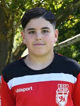 Avatar Bild für Roni Gerbeshi