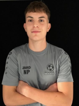 Avatar Bild für Nick Leon Pleuler