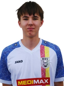 Avatar Bild für Daniil Tiernikov