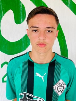 Avatar Bild für Dion Hyseni