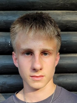 Avatar Bild für Henri Leitsch