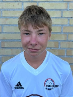 Avatar Bild für Hannes Glüsing