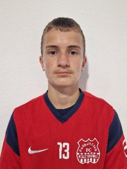 Avatar Bild für Nelson Giska