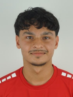 Avatar Bild für Nils Malekzada