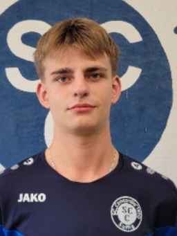 Avatar Bild für Henri Völlmeke