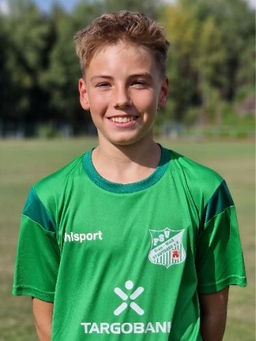 Avatar Bild für Niklas Rapsilber