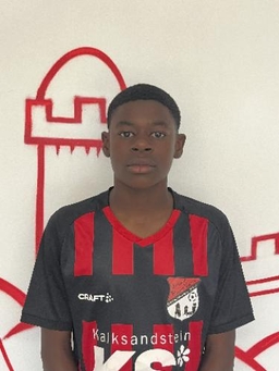 Avatar Bild für Ouriel Lemo