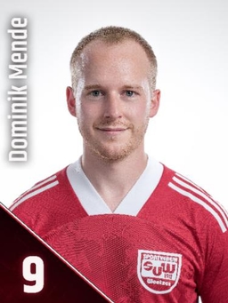 Avatar Bild für Dominik Mende