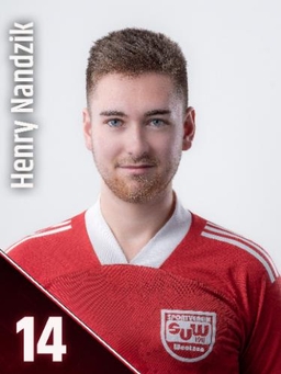 Avatar Bild für Henry Nandzik