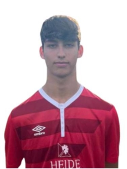 Avatar Bild für Dario Gaebel