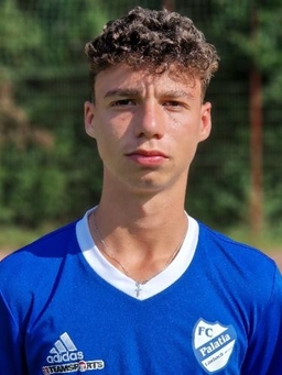 Avatar Bild für Arnaud Koelsch