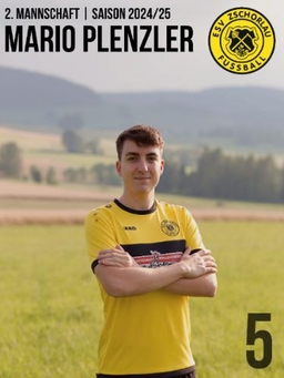 Avatar Bild für Mario Plenzler