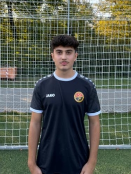 Avatar Bild für Mehmet Tahiri