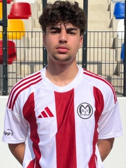 Avatar Bild für Mehdi-Ilhan Aydin