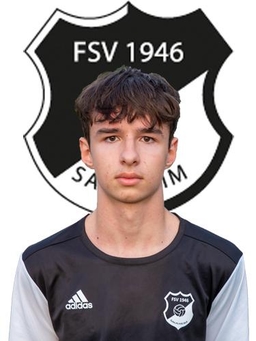 Avatar Bild für Dario Gojic