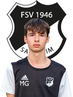 Avatar Bild für Mario Gojic