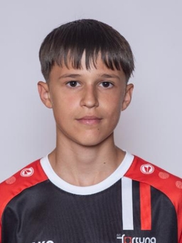 Avatar Bild für Altin Gashi