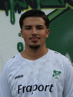 Avatar Bild für Luka Aleksandar Icevic