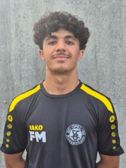 Avatar Bild für Frogh Merzaie