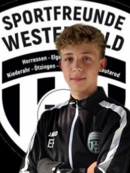 Avatar Bild für Emil Faber