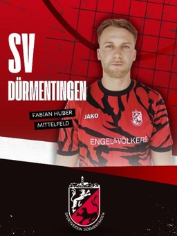 Avatar Bild für Fabian Huber