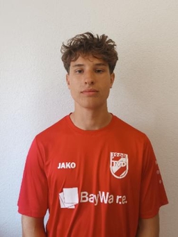 Avatar Bild für Tomàs Fananás-Hernández