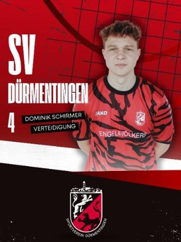 Avatar Bild für Dominik Schirmer