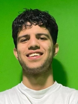 Avatar Bild für Hesam Hamidavi