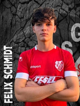 Avatar Bild für Felix Schmidt